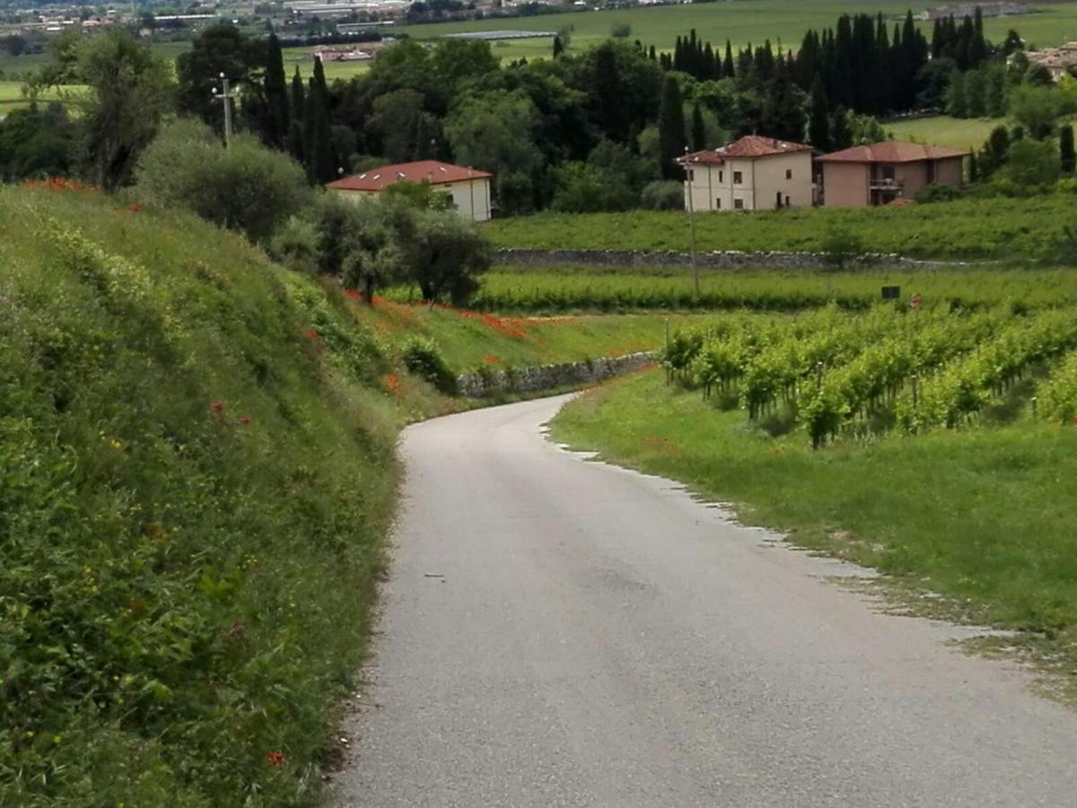 B&B Corte Giare Sant'Ambrogio di Valpolicella Ngoại thất bức ảnh