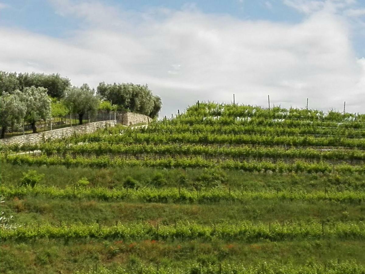 B&B Corte Giare Sant'Ambrogio di Valpolicella Ngoại thất bức ảnh